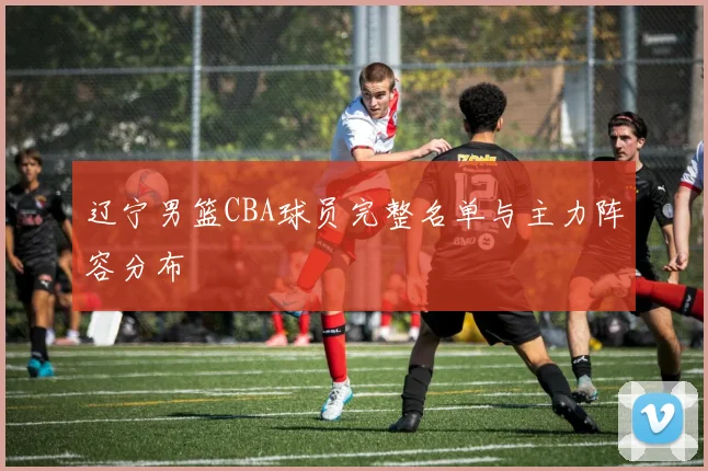 辽宁男篮CBA球员完整名单与主力阵容分布