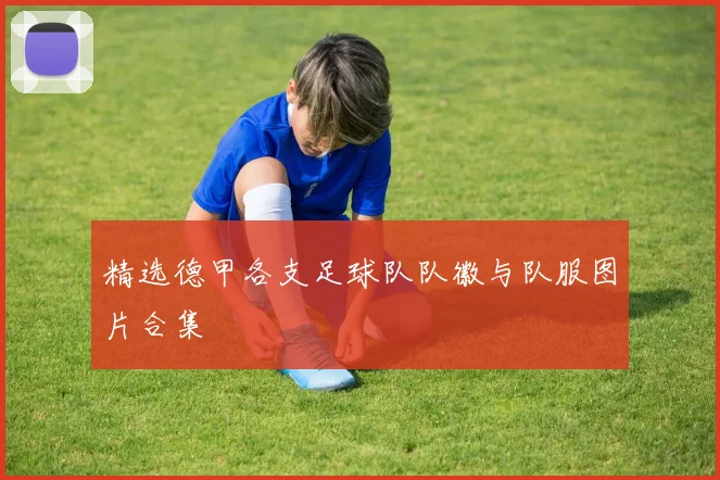 精选德甲各支足球队队徽与队服图片合集